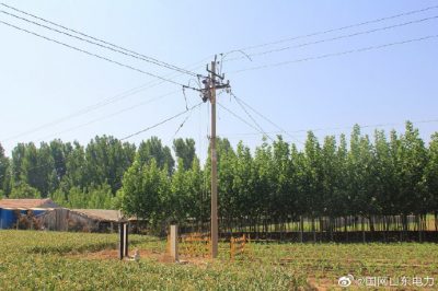 萊蕪供電公司線路升級改造 助力鄉村建設