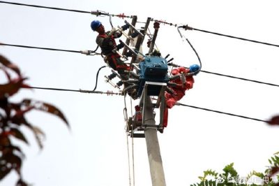 綜合檢修園區線路 保障客戶可靠用電
