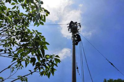 海陽供電：優化線路結構 助力鄉鎮企業發展