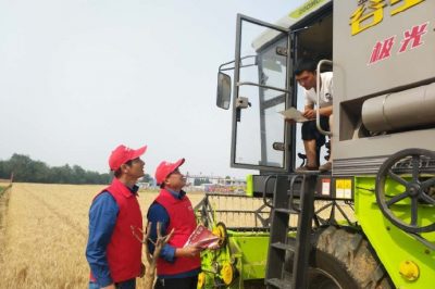 河北電力簡訊：芒種忙忙割，農家樂啟鐮