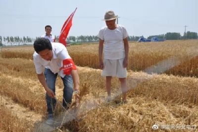 清河供電公司在田間給農民開展用電宣傳