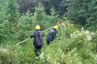 過泥濘，涉洪水，穿山谷，冒雨巡線護電，第一時間處理災情險情