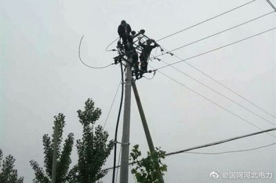 新河縣供電公司092西工線線路改造，更換大直徑絕緣導線