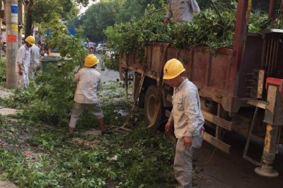 祁陽縣供電公司通宵未眠完成10千伏黎城I線進行砍青作業