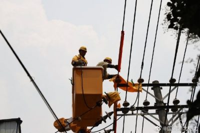 武漢供電公司在10千伏英武線開展帶電作業