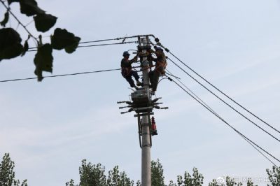 東阿縣供電公司新架設電桿5基、絕緣導線1000米