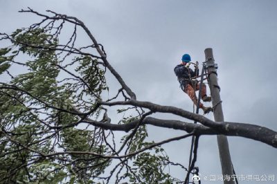 “利奇馬”致海寧電網多處受損??11日下午全部恢復通電