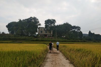 武岡市供電公司對兄弟單位開展扶貧領域專項監督檢查