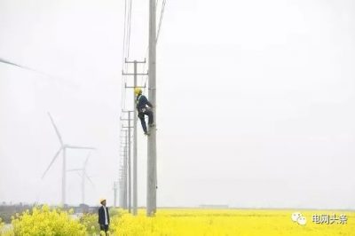 14億人全民通電如何做到的？18根電桿為1戶供電，100年無法回本