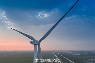 金風綠能與電蜜蜂簽署戰略合作協議  試水售電后市場