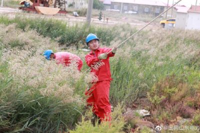 東營區供電公司110千伏大學站10千伏孫家線電桿進行檢修消缺