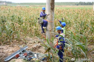 孝直鎮前洼村某牧業新建線路工程