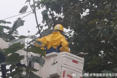 10千伏線路182馬寨線帶電作業清理線下障礙物6處