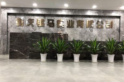 重慶有多少電廠？