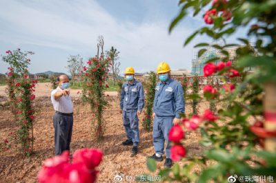 南方電網:“電管家”護航春耕用電無憂
