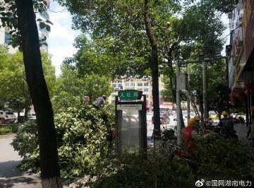 #向配網開戰#風景這邊獨好，砍青掃障