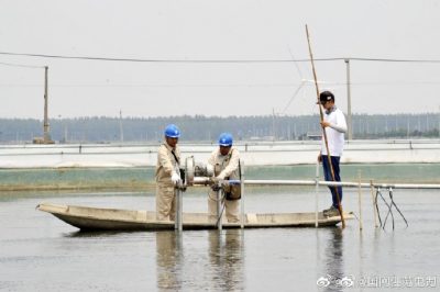 新增配電變壓器為湖畔生態農場添“動力”