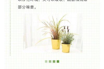 家里冰箱洗衣機噪音越來越大？讓它們安靜下來很簡單！