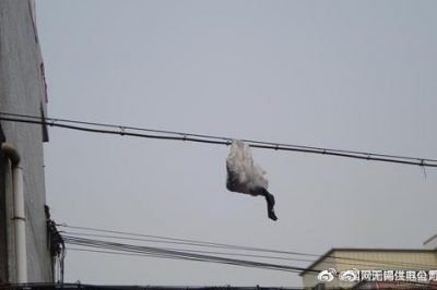 你的隨手一“拋”，可能導致跳閘停電！