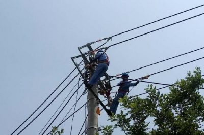 電網線路改造忙，迎峰度夏有保障