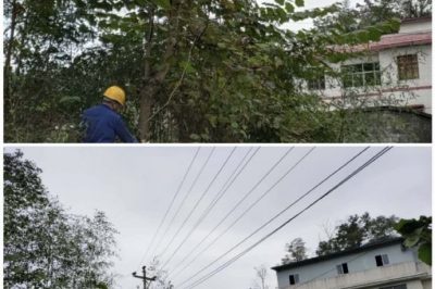 對10千伏禾臘線消水坨臺區、石家寨臺區進行巡視