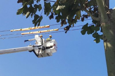 帶電安裝線路狀態指示儀作業