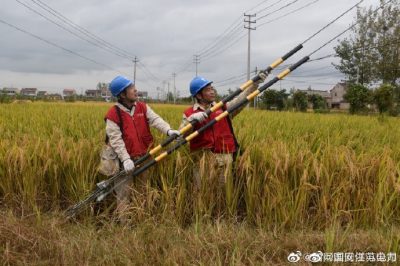 到10千伏五港鎮(zhèn)114支線(xiàn)45號(hào)桿緊固拉線(xiàn)螺栓