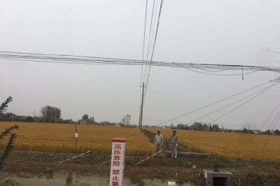 積極組織臺區(qū)經理對線路設備進行專項巡視檢查