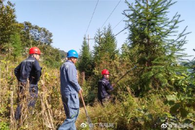 黨員擔模范 護航穩供電
