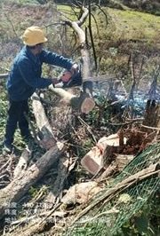 10千伏法高線新澤村火巖上臺區進行低壓線路砍青掃障工作