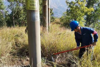 對配電室高低壓設備進行巡視檢查