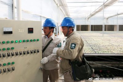供電員工巡查現代化農業(yè)園