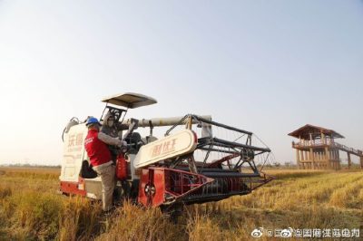 助力特色田園鄉村秋收用電安全
