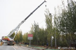 對(duì)10千伏南王線架空線路進(jìn)行電纜入地改造