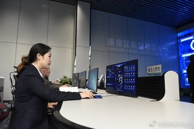 國網重慶銅梁供電公司能源數據中心助力人口精準普查