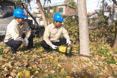 對轄區內10KV線路通道內樹木進行徹底清理