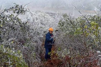 國網藍山縣供電公司安排輸電班員工開展線路特巡
