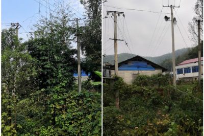 對所轄區域內6條10千伏線路通道再次進行巡視